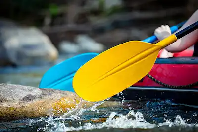 Multiple people yelling of joy because they finished the water rafting challenge